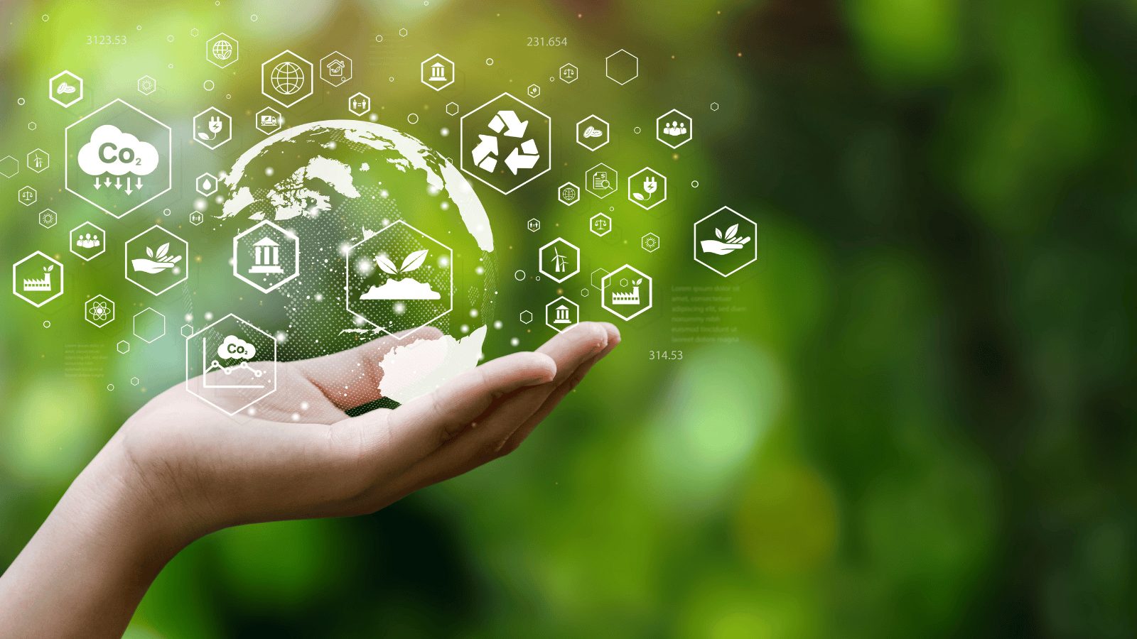 CO2 calculator reveals emissions at transaction level